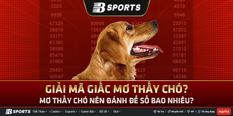 Giải mã giấc mơ thấy chó