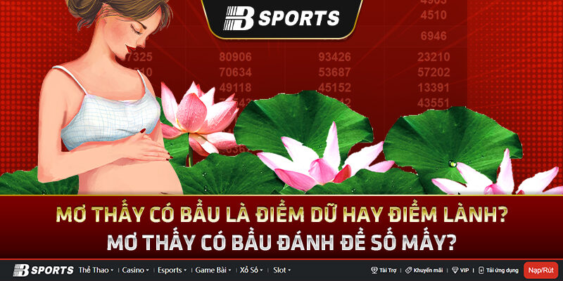 Mơ thấy có bầu Mơ thấy có bầu
