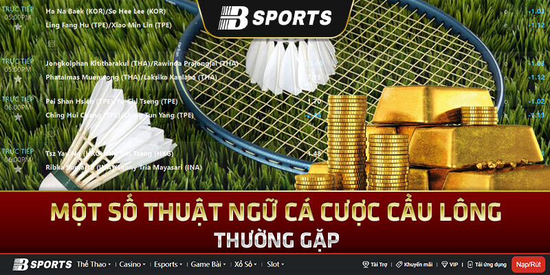 Giới thiệu về trò chơi cá cược cầu lông Giới thiệu về trò chơi cá cược cầu lông