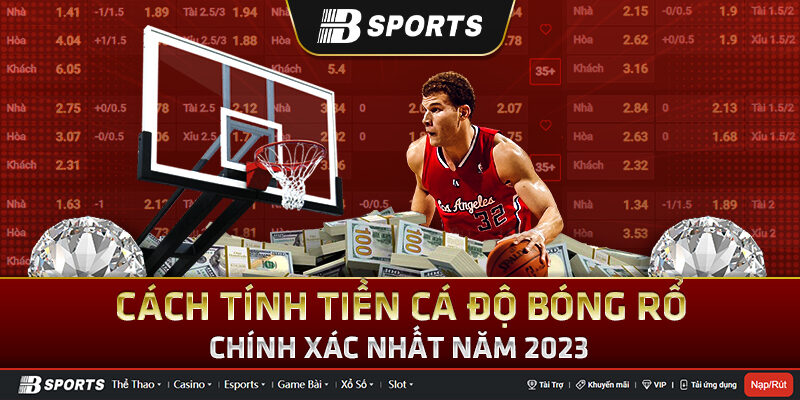 Cách tính tiền cá độ bóng rổ chính xác 2023
