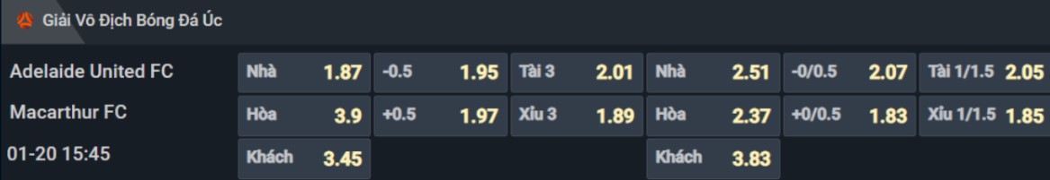 Bảng tỷ lệ kèo cho cặp đấu Adelaide United vs Macarthur FC Bảng tỷ lệ kèo cho cặp đấu Adelaide United vs Macarthur FC