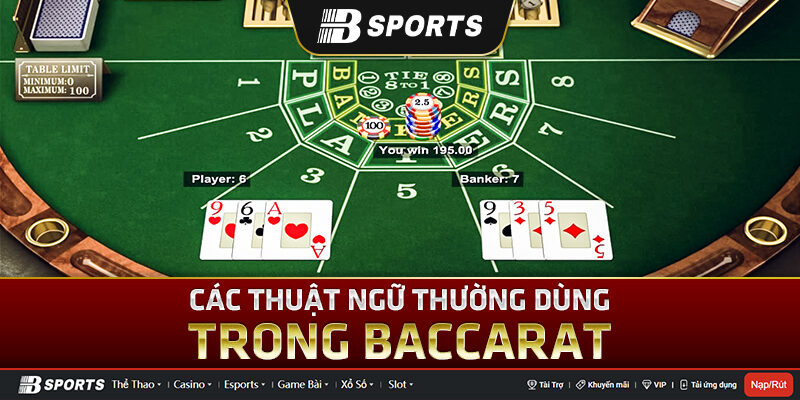 Các thuật ngữ cần biết khi chơi Baccarat online Các thuật ngữ cần biết khi chơi Baccarat online