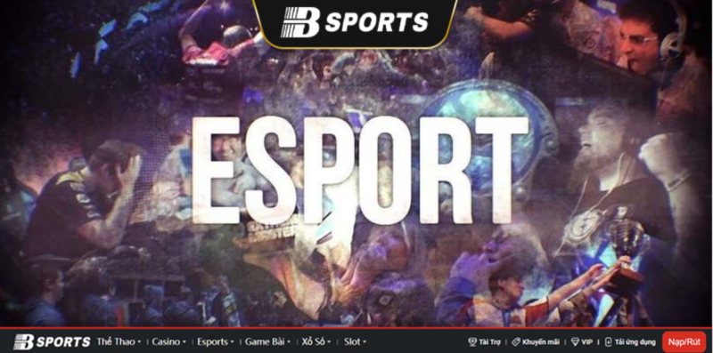 Hình ảnh minh họa Cá cược Esports Hình ảnh minh họa Cá cược Esports