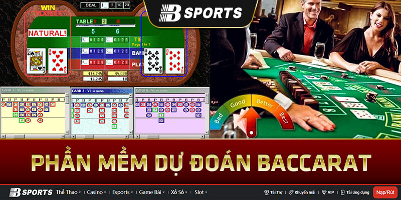 Phần mềm dự đoán Baccarat Phần mềm dự đoán Baccarat