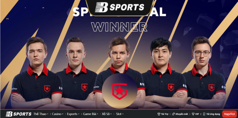 Đội tuyển Gambit Esports Đội tuyển Gambit Esports