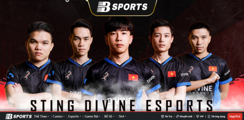 Đội tuyển Pubg Việt Nam Divine Esports Đội tuyển Pubg Divine Esports
