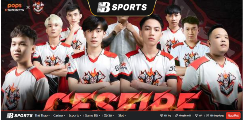 Đội tuyển Pubg Cerberus Đội tuyển Pubg Cerberus