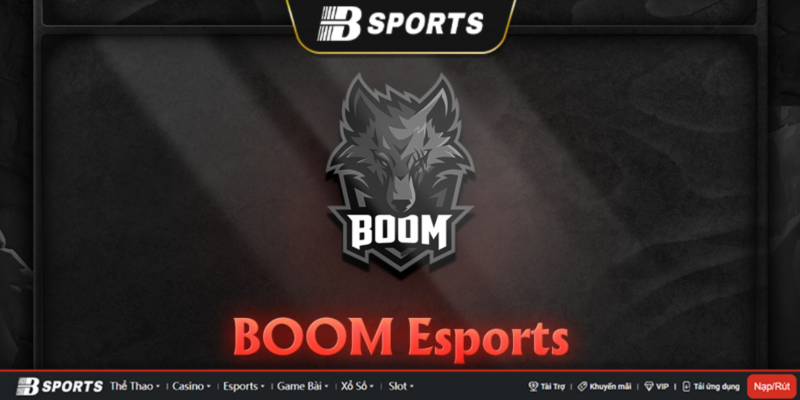 Đội tuyển Dota 2 Boom Esports Đội tuyển Dota 2 Boom Esports