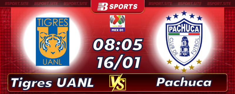Soi kèo bóng đá Tigres UANL vs Pachuca lúc 8h05 ngày 16/01/2023 Soi kèo bóng đá Tigres UANL vs Pachuca lúc 8h05 ngày 16/01/2023
