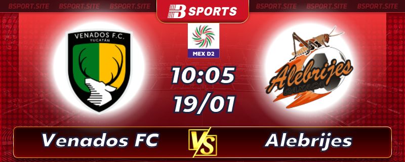 Soi kèo bóng đá Venados FC vs Alebrijes de Oaxaca lúc 10h05 ngày 19/01/2023 Soi kèo bóng đá Venados FC vs Alebrijes de Oaxaca lúc 10h05 ngày 19/01/2023