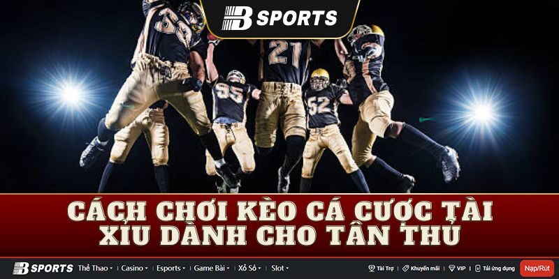 Cược kèo cá cược tài xỉu là gì?