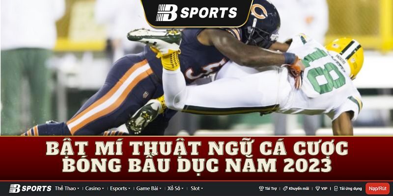 Thuật ngữ cá cược bóng bầu dục thường dùng