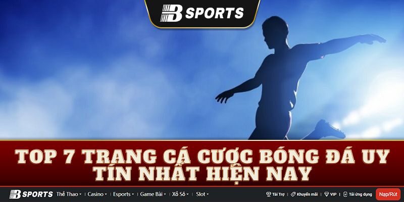 Top 7 trang cá cược bóng đá uy tín