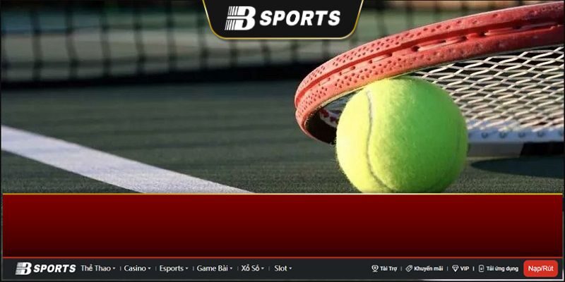 Các hình thức chơi tennis phổ biến