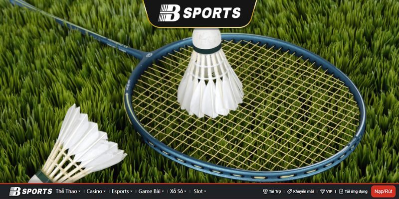 Hướng dẫn cách cá cược cầu lông tại sân chơi Bsport