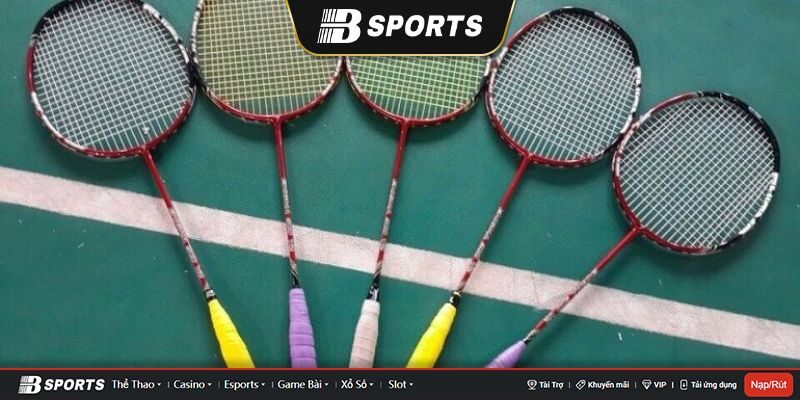 Hướng dẫn cách chơi cá cược cầu lông