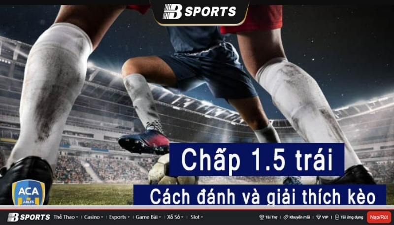 Kèo 1 1/2 là gì? Kèo 1 1/2 là gì?