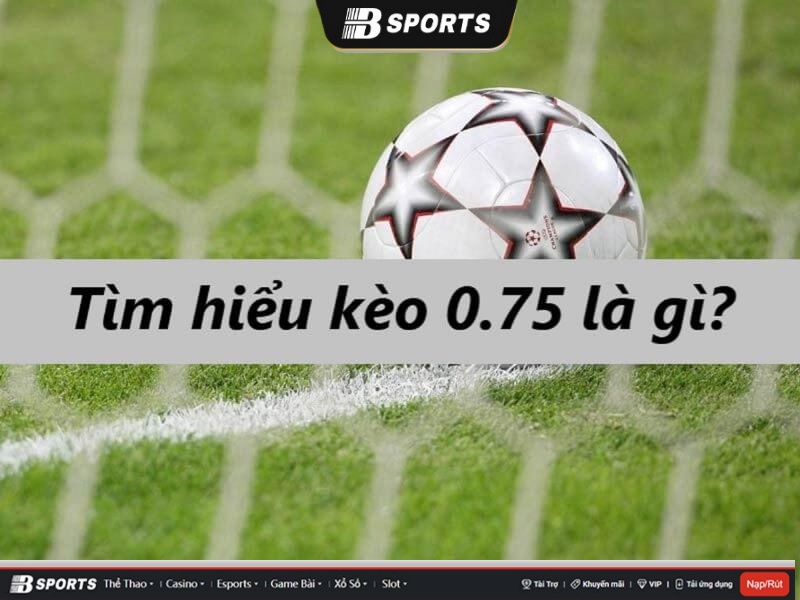Kèo 3/4 là gì? Kèo 3/4 là gì?