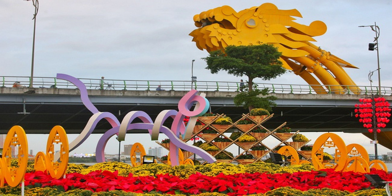 Mèo Vũng Tàu ánh mắt thất thần Mèo Vũng Tàu ánh mắt thất thần