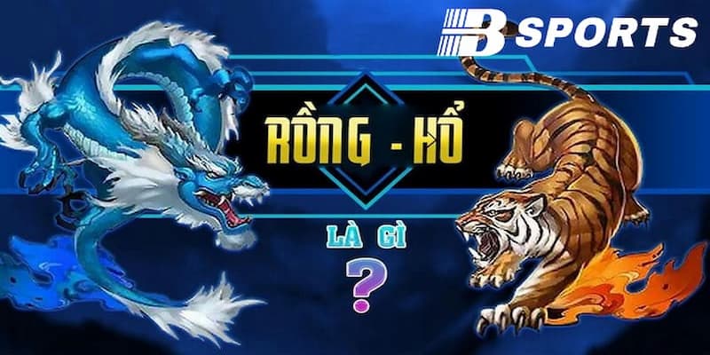 Rồng hổ là gì? Cách đặt cược tại nhà cái Bsport