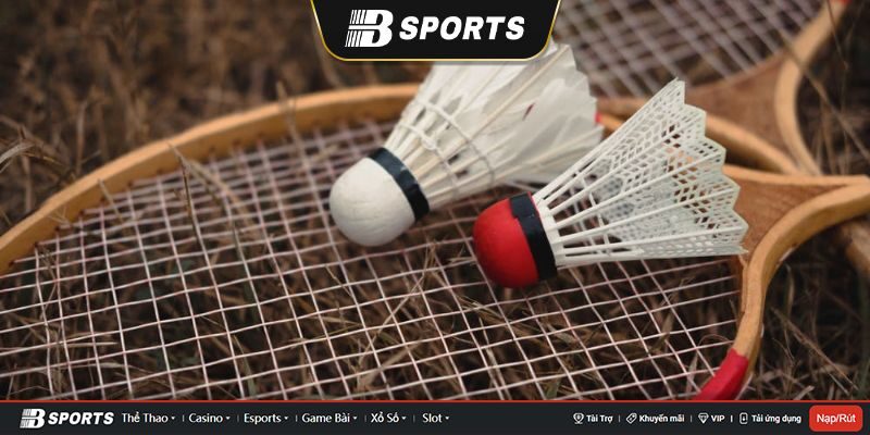 Hướng dẫn cách đăng ký tài khoản chơi cá cược cầu lông tại Bsport