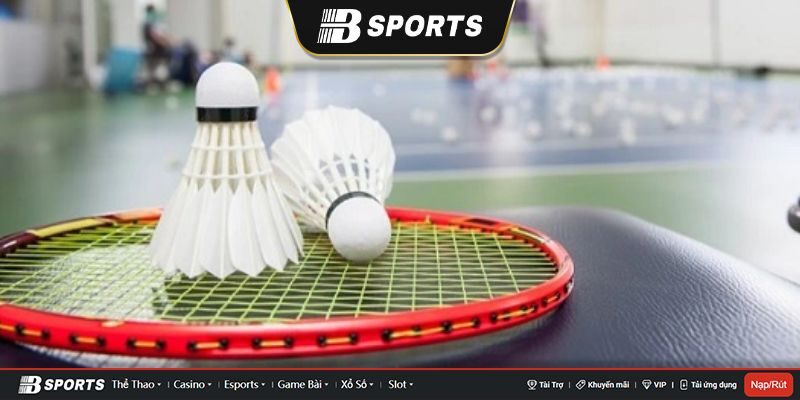 Một số mẹo chơi cá cược cầu lông mà bạn nên biết