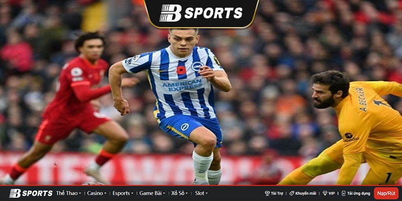 Brighton và Liverpool