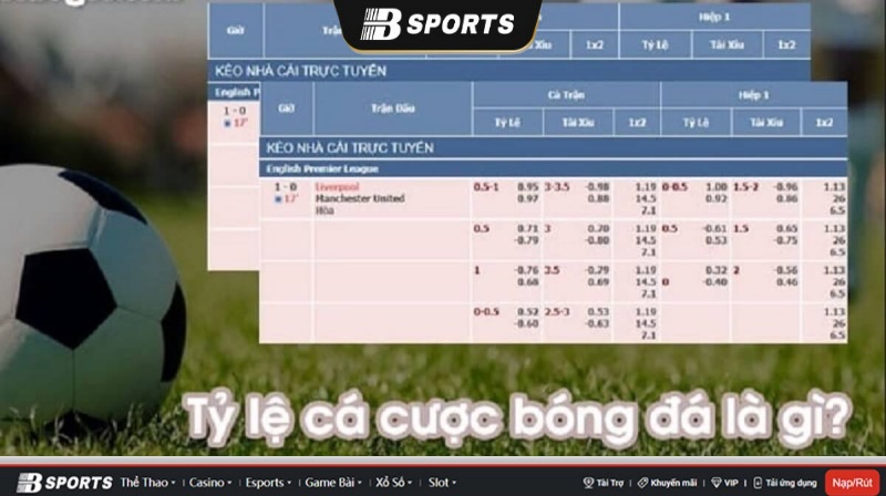 Tổng quan về tỷ lệ cá cược bóng đá hôm nay Bsport Tổng quan về tỷ lệ cá cược bóng đá hôm nay Bsport