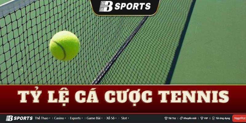 Tỷ lệ cá cược tennis