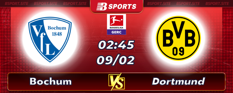 Soi kèo tỷ số Bochum vs Dortmund vào lúc 02h45 ngày 09/02/2023 Soi kèo tỷ số Bochum vs Dortmund vào lúc 02h45 ngày 09/02/2023