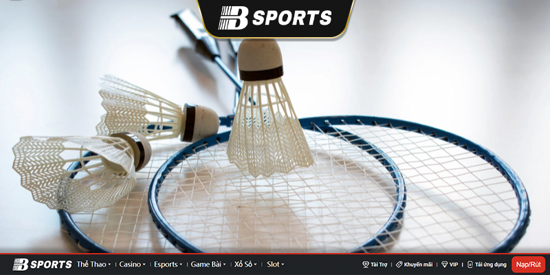 Soi kèo cược cầu lông cùng Bsports Soi kèo cược cầu lông cùng Bsports