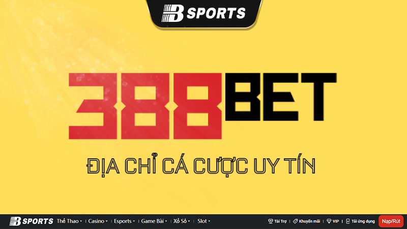 Những thắc mắc chung của người chơi tại 388 bet Những thắc mắc chung của người chơi tại 388 bet
