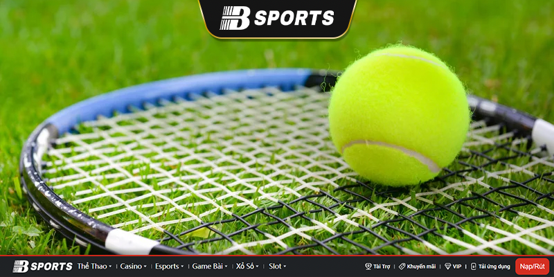 Các thuật ngữ cá cược tennis quan trọng. Các thuật ngữ cá cược tennis quan trọng.