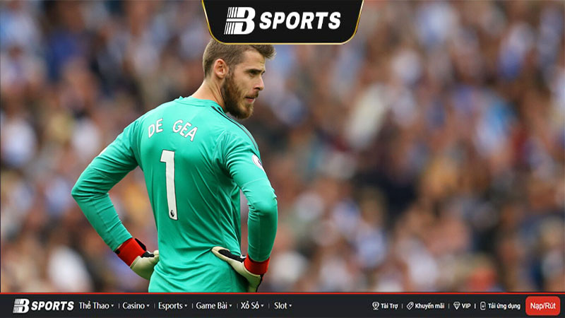 Sự nghiệp thi đấu ở cấp đội tuyển quốc gia của David De Gea Sự nghiệp thi đấu ở cấp đội tuyển quốc gia của David De Gea