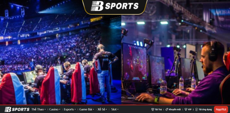 Hình ảnh các đội tuyển thể thao điện tử Esport Hình ảnh các đội tuyển thể thao điện tử Esport