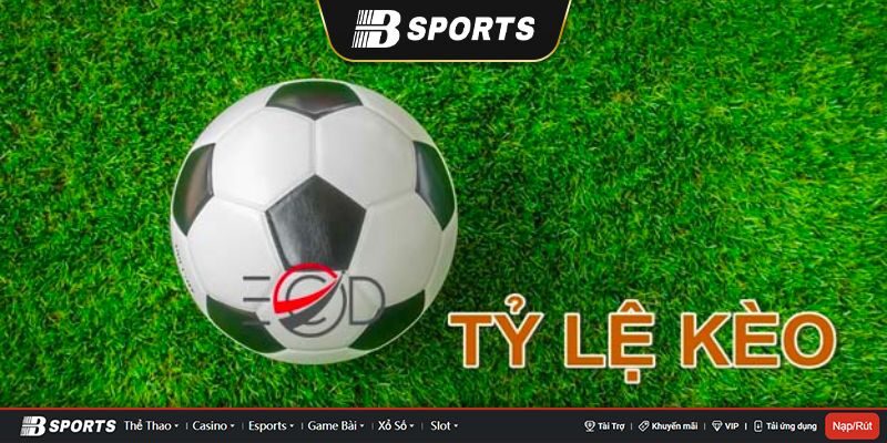 Kèo cược bd 7m Kèo cược bd 7m