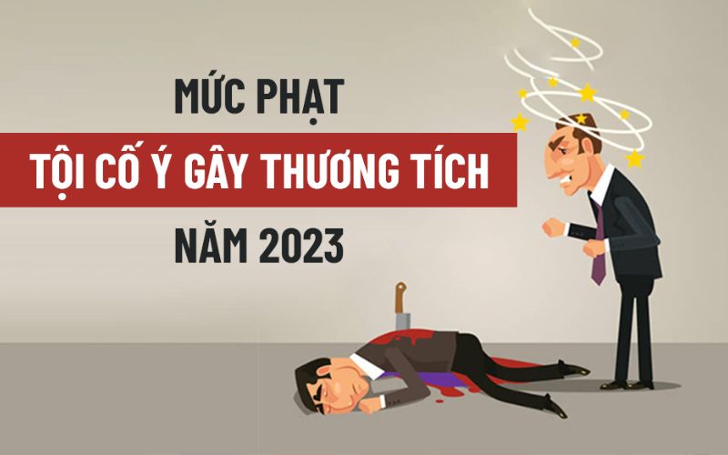Chí phạm tội cố ý gây thương tích anh ruột