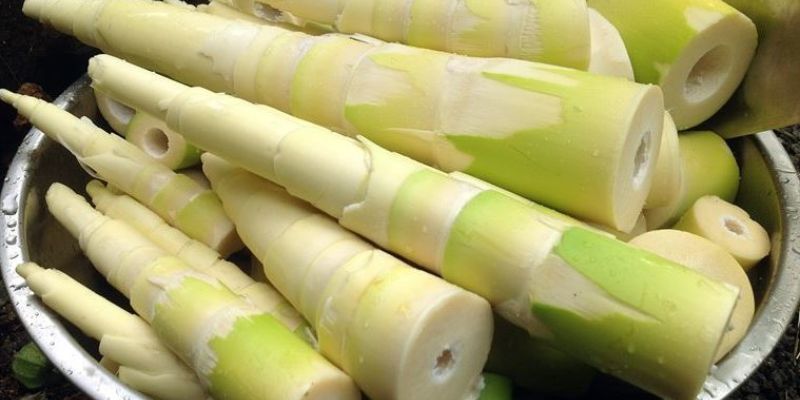 Vụ án ép ăn măng đến chết gây chấn động