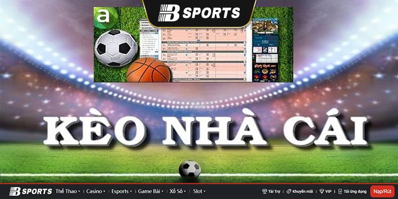 Tiết lộ 2 cách dự đoán kết quả kèo nhà cái sử dụng phổ biến nhất hiện nay Tiết lộ 2 cách dự đoán kết quả kèo nhà cái sử dụng phổ biến nhất hiện nay