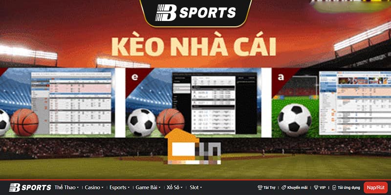 Dự đoán kết quả kèo nhà cái qua lịch sử thi đấu Dự đoán kết quả kèo nhà cái qua lịch sử thi đấu