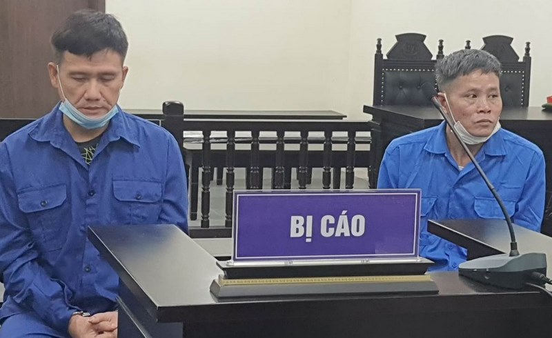 Hai bị cáo phải lãnh án vì đánh chết trộm chó