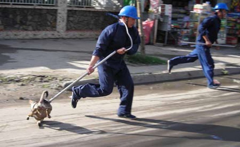 Khi phát hiện kẻ trộm, nghi phạm không kiềm chế được cảm xúc