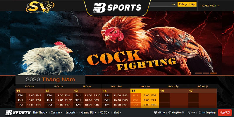 Nhà cái trực tuyến chuyên cung cấp về cá cược đá gà SV388 link - Nhà cái trực tuyến chuyên cung cấp về cá cược đá gà