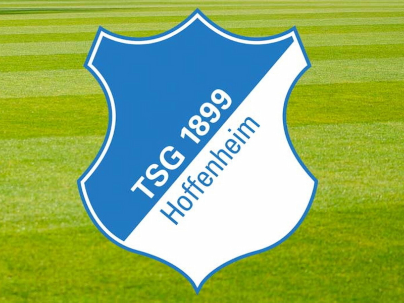 Ý Nghĩa Logo Bundesliga - Câu Lạc Bộ Hoffenheim