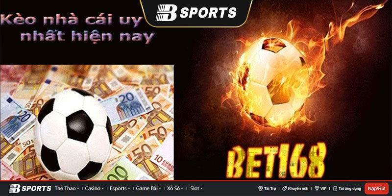 Một trong những nhà cái uy tín hàng đầu Bet 168 - Một trong những nhà cái uy tín hàng đầu