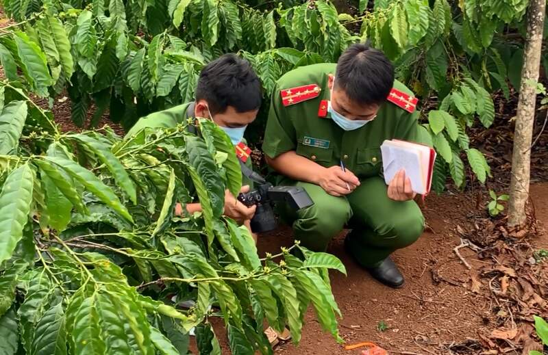 Cảnh sát tiếp tục điều tra kẻ sát hại nhân tình tại Bạc Liêu