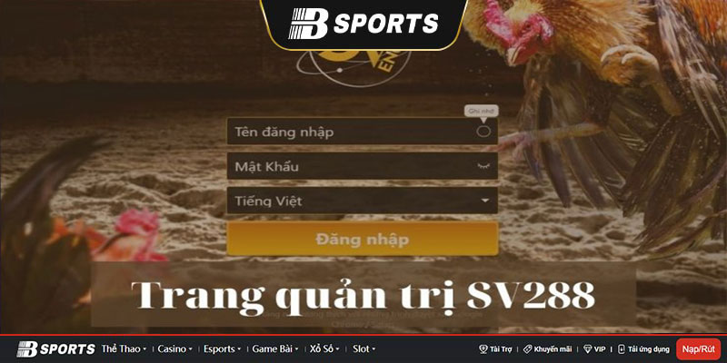 Điền đúng phần họ tên và nó phải trùng khớp với tên tài khoản ngân hàng Điền đúng phần họ tên và nó phải trùng khớp với tên tài khoản ngân hàng