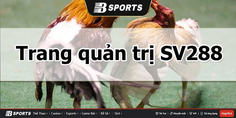 Trang chủ của Sv288 Trang chủ của Sv288