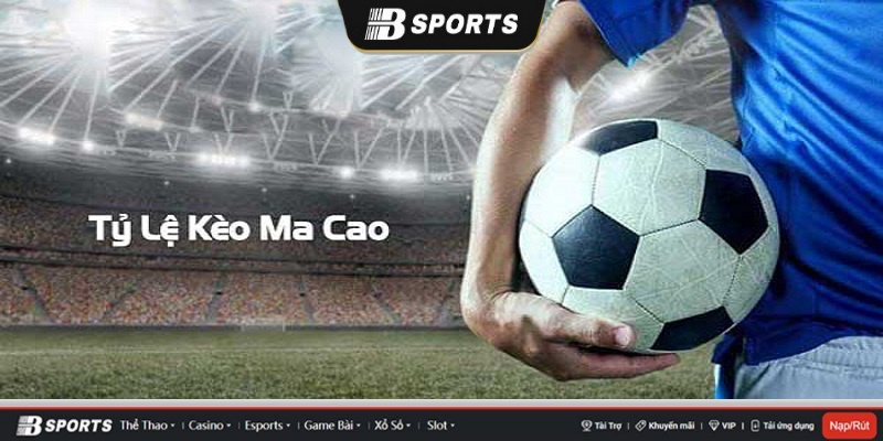 Tỷ lệ cá cược Ma Cao là gì? Tỷ lệ cá cược Ma Cao là gì?