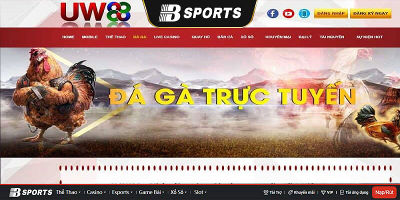 Bạn có thể tham khảo qua chính sách của nhà cái Bạn có thể tham khảo qua chính sách của nhà cái